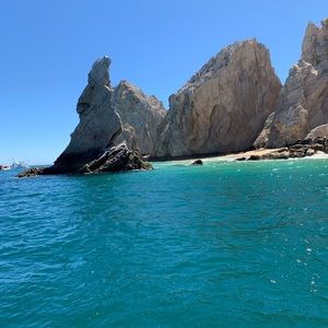 Meet your Posher, Brenda